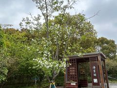 -昆山城市生态森林公园