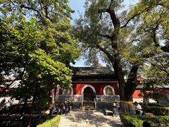 -北京艺术博物馆(万寿寺)