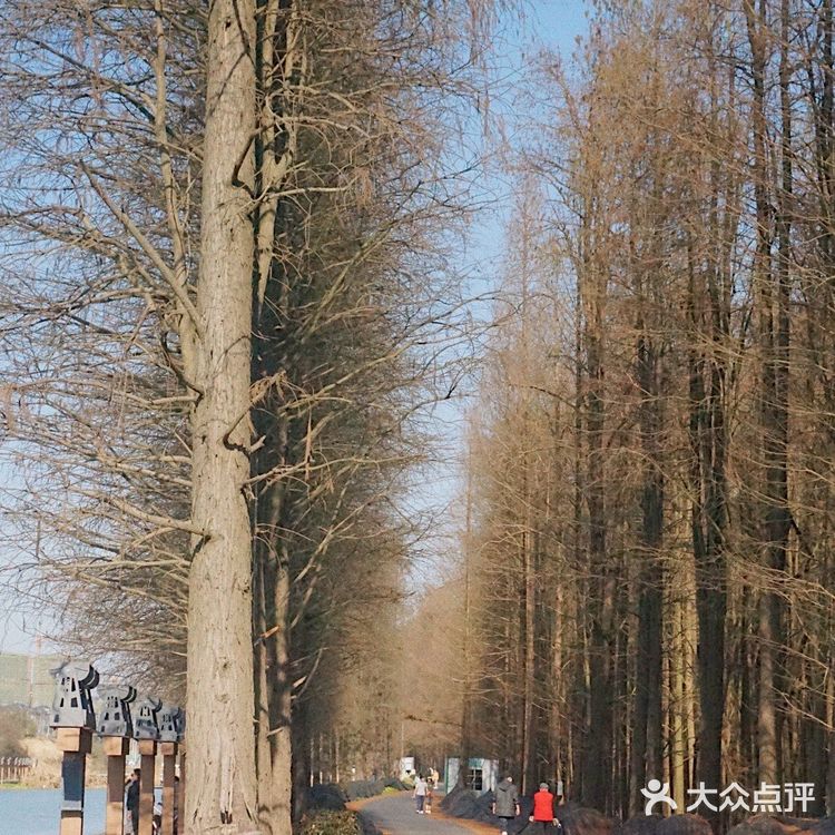 杭州周末游的好去处！临安青山湖国家森林公园