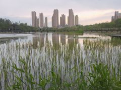-前关湿地公园