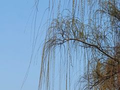 -尚贤河湿地