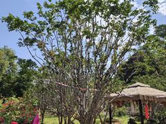 -福建鲤鱼洲酒店