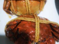 -呼吸森林·生态农庄农家乐私房菜