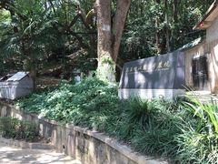 -马王堆汉墓遗址