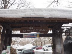 -宫城藏王狐狸村