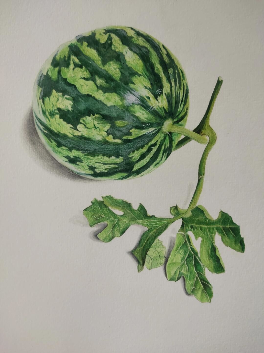 彩铅画西瓜,一学就会!