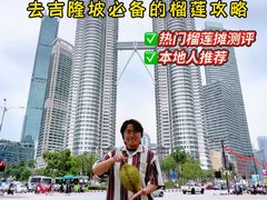 -吉隆坡国油双峰塔