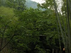 -藏龙百瀑风景区