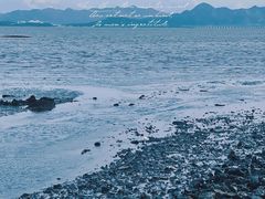 -深圳湾公园(南山区)
