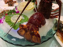 -阳光海鲜城(太仓万达店)