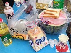 -蒲河岛湿地公园
