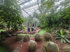 -呀路古热带植物园
