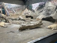 -西安曲江海洋极地公园