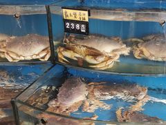 -渔中舟海鲜大排档(普陀沈家门店)