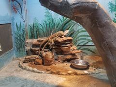 -石家庄市动物园