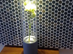 -Radar Coffee(思南路店)