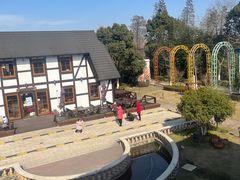 -金山农民画村-枫泾波兰倒置屋