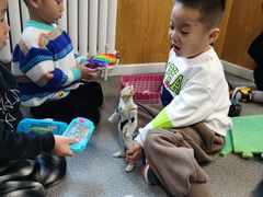 -北京市丰台区阳光起点锦城幼儿园(丰台园)