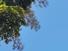 -文华公园(禅城区)