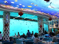 -瑞德姆美人鱼海底演艺主题餐厅(亚龙湾店)