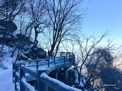 -少华山国家森林公园