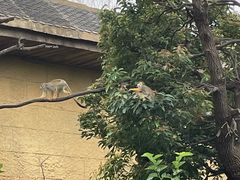 -太湖龙之梦