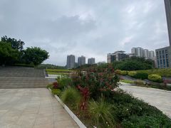 -深圳国际园林花卉博览园