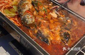 Mekong River Fish