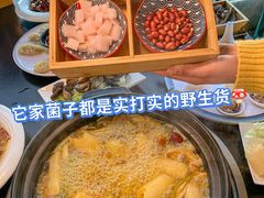-野菌皇海景野生菌火锅(滨海大道店)