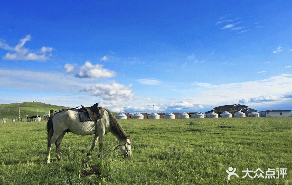 成都周边游[加油]夏季若尔盖大草原旅行
