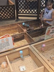 -酷嗒动物文化乐园(cutezoo西溪乐天城店)