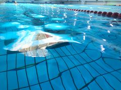 -佳明游泳馆(惠新西街南口店)