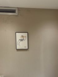 -HEYAN荷妍专业脱毛连锁机构