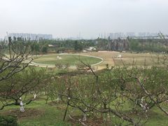 -秀丽东方