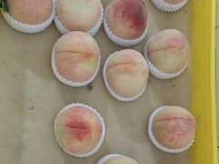 -老袁家蜜桃农场·阳山水蜜桃