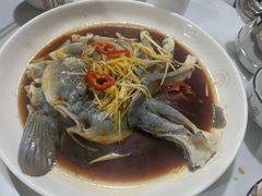 -煲来饱去冷水鱼