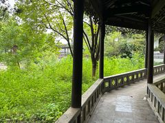 -八大山人梅湖景区