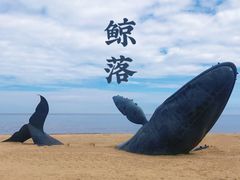 -烟台金沙滩海滨公园