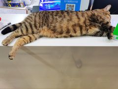 -FIGHTMAN格斗俱乐部(长宁临空店)