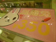 -龙猫仔乐园(惠福东路店)