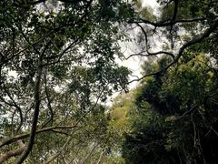 -放鸡岛生态旅游国际度假区