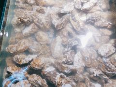 -渔人湾码头海鲜市场负二楼