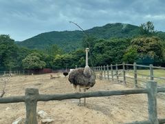 -西安秦岭野生动物园