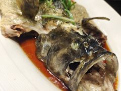 -正德楼果木烤鸭·渔家菜(东港店)