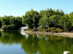 -大兴滨河森林公园