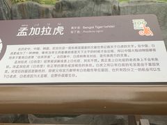 -武汉动物园