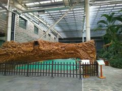 -龙达温泉生态城