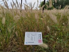 -翠湖国家城市湿地公园