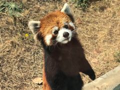 -无锡动物园·太湖欢乐园