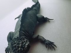 -深海中餐厅(国家海洋博物馆店)